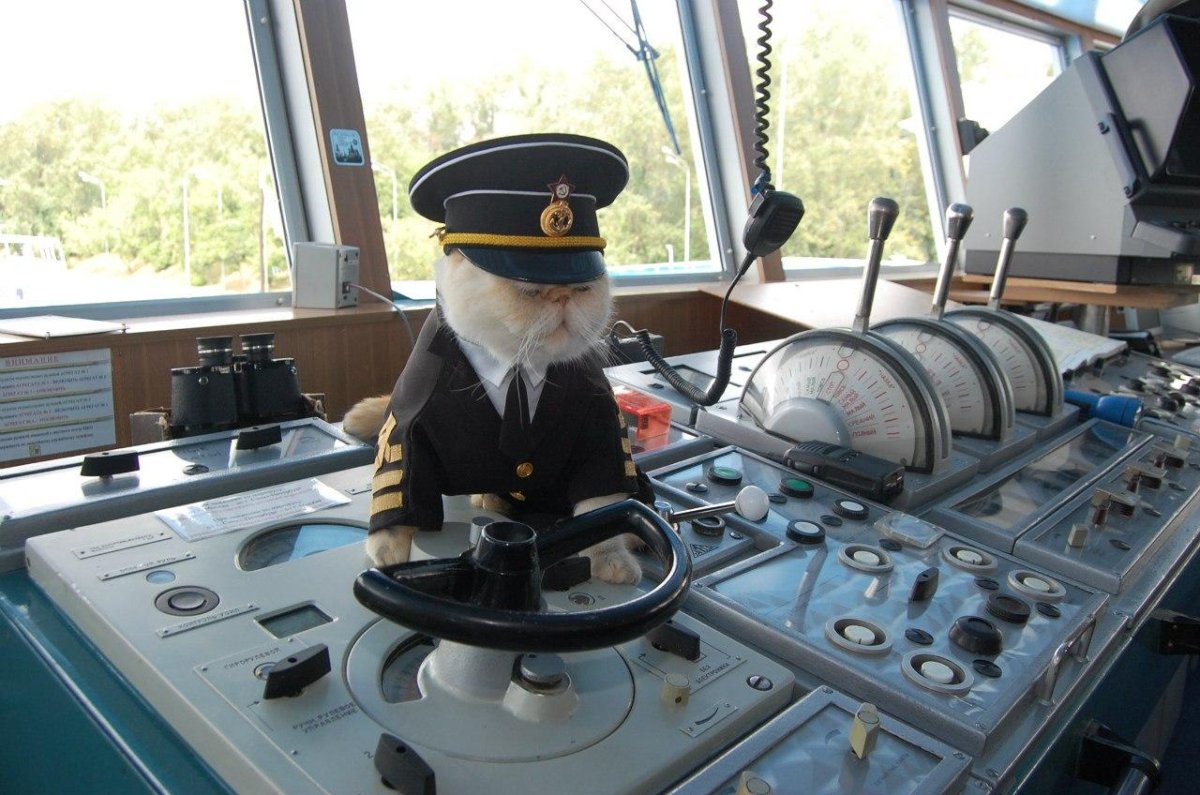 Кот матрос теплоход Николай Чернышевский