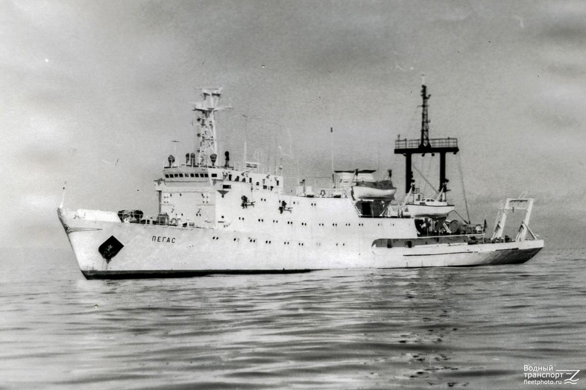 Пегас судно Владивосток