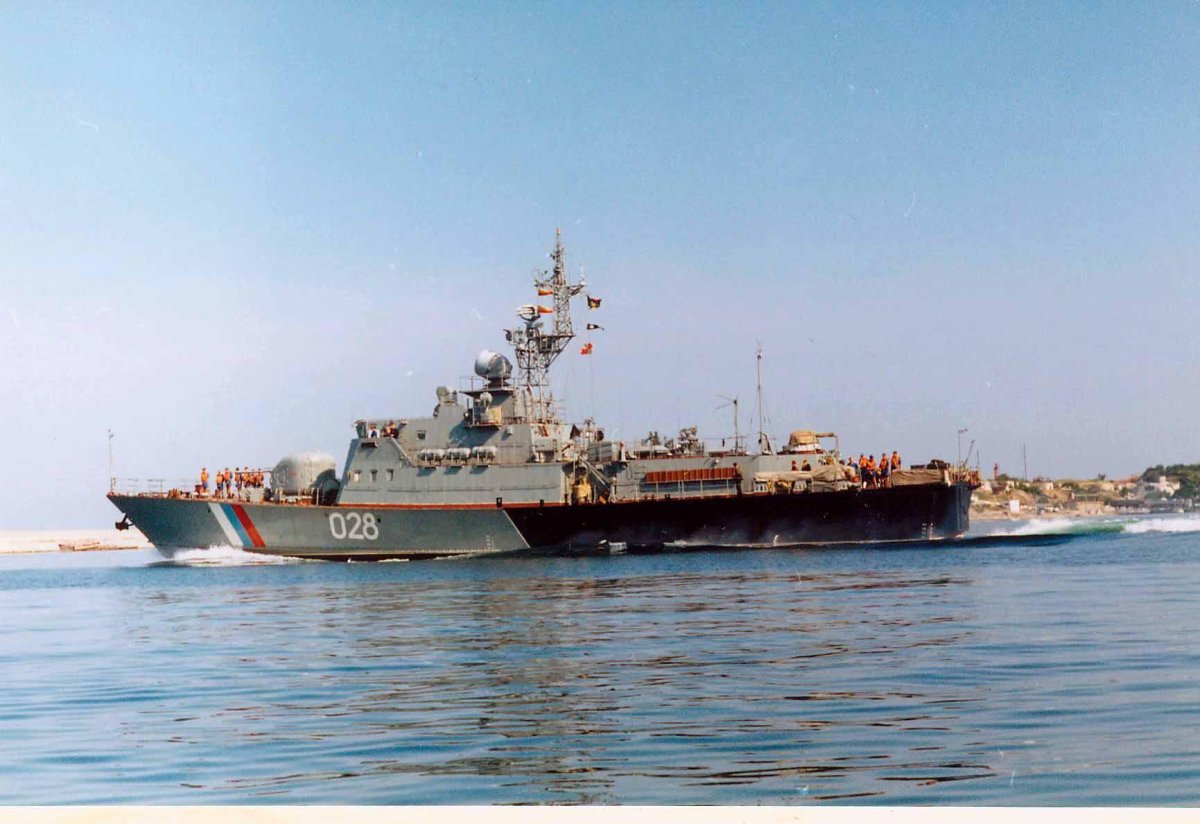 Корабль проекта 10410 ПСКР Сочи