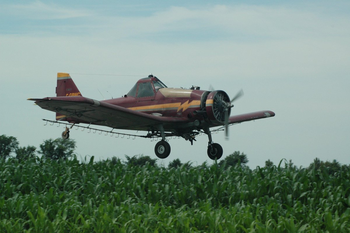 Ан2 сельхозавиации