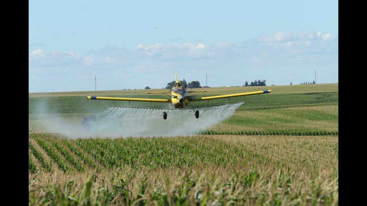 Ан2 сельхозавиации