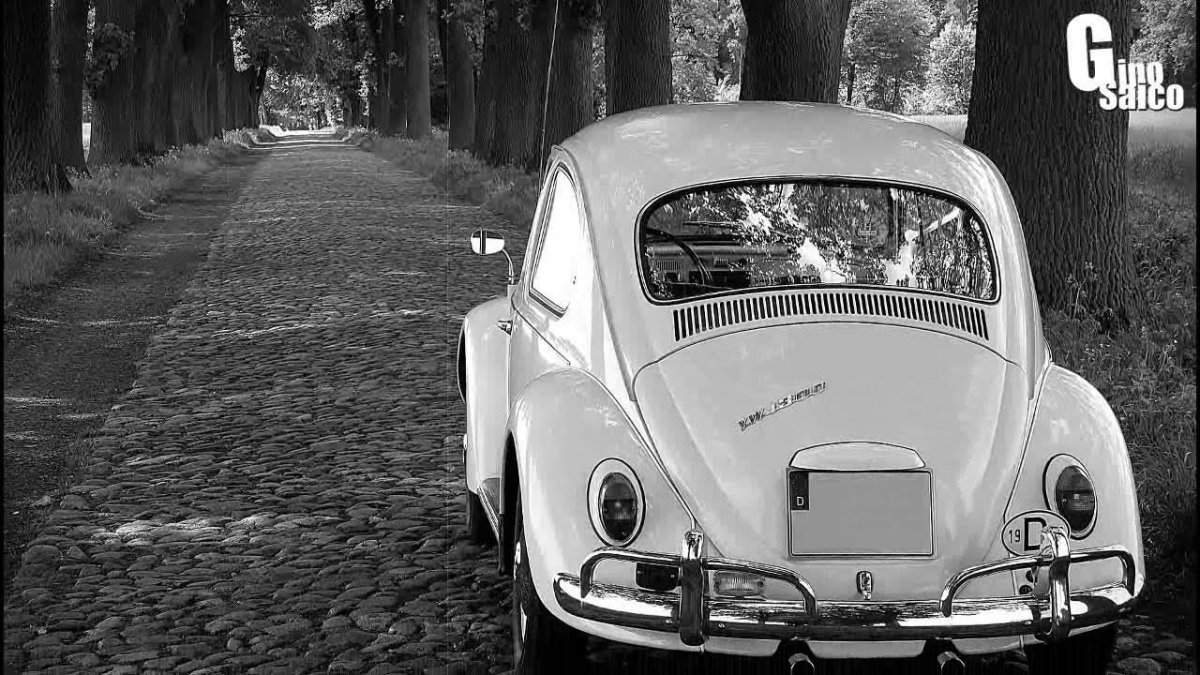 Volkswagen 1200 Жук