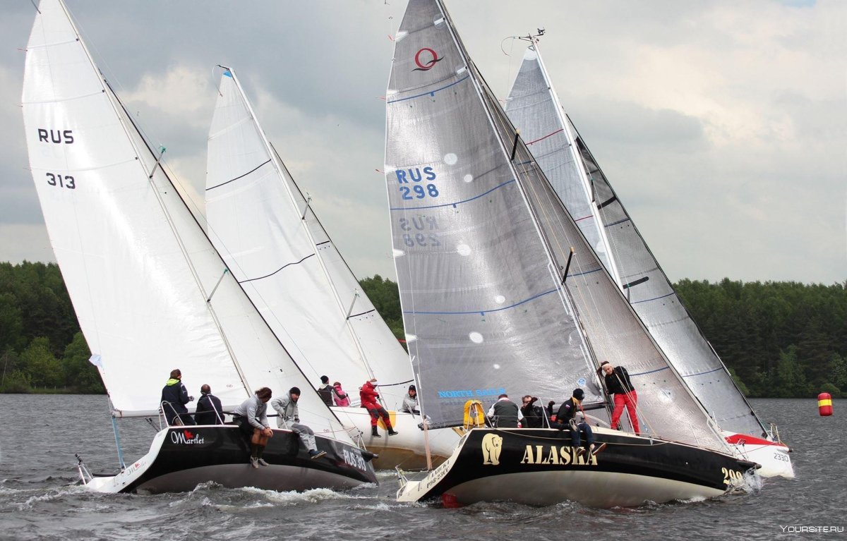 Опен 800 яхты