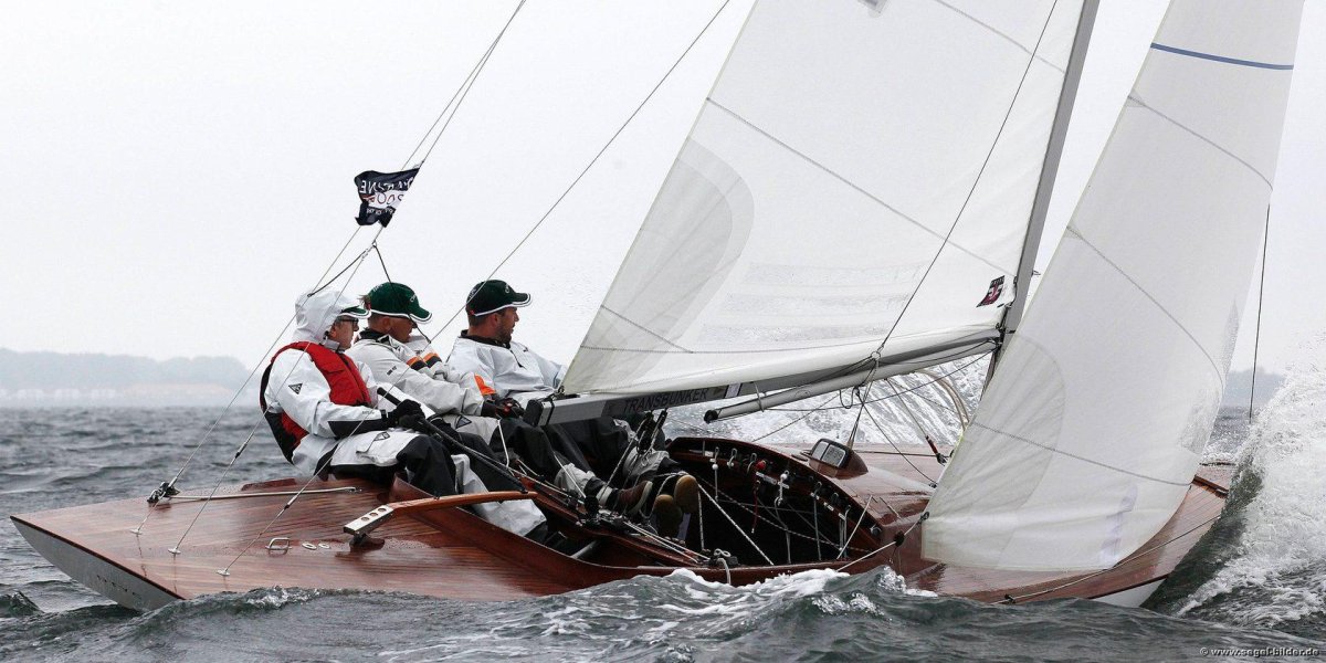 Швертбот дракон