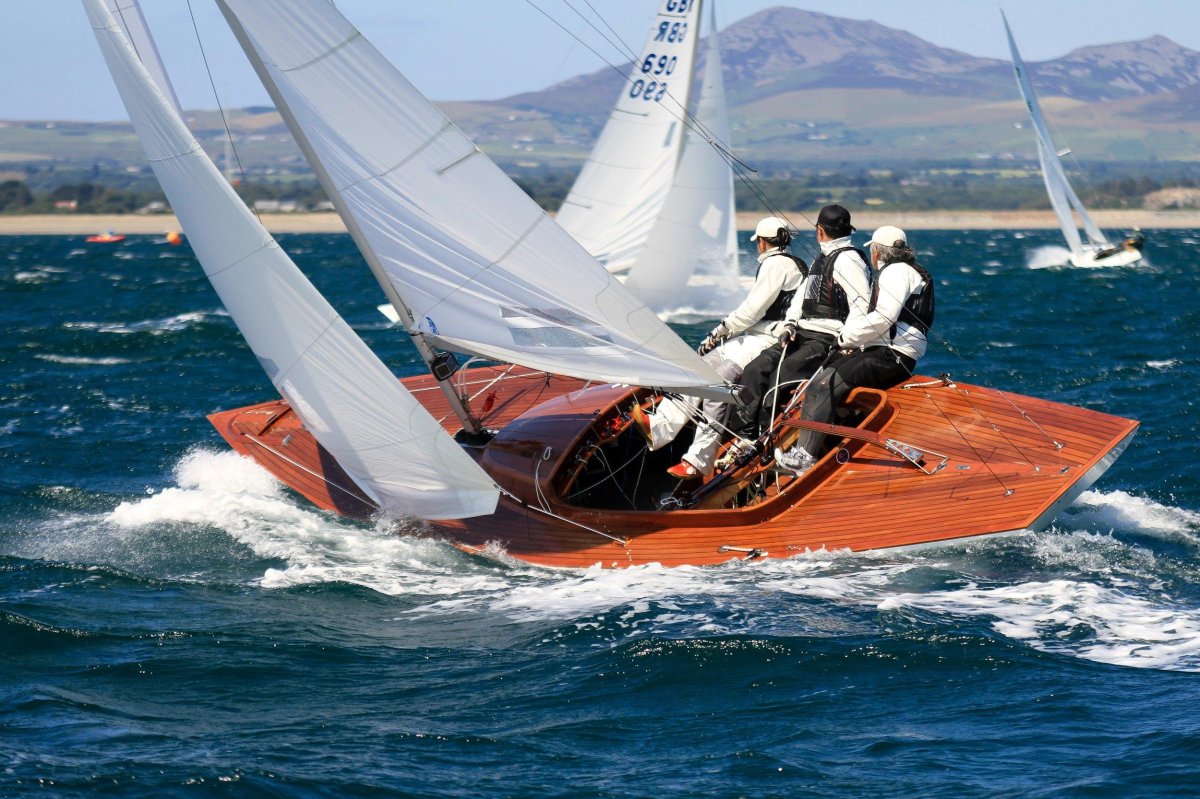 Швертбот дракон