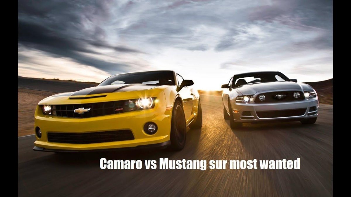 Шевроле Мустанг