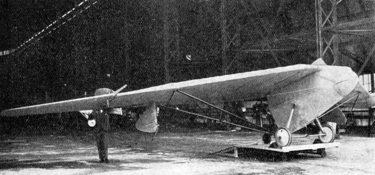 Подкосный моноплан