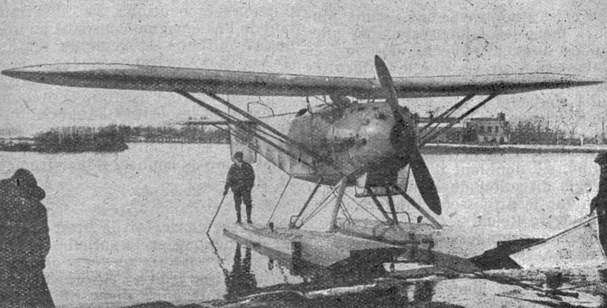 Самолет с крылом парасоль