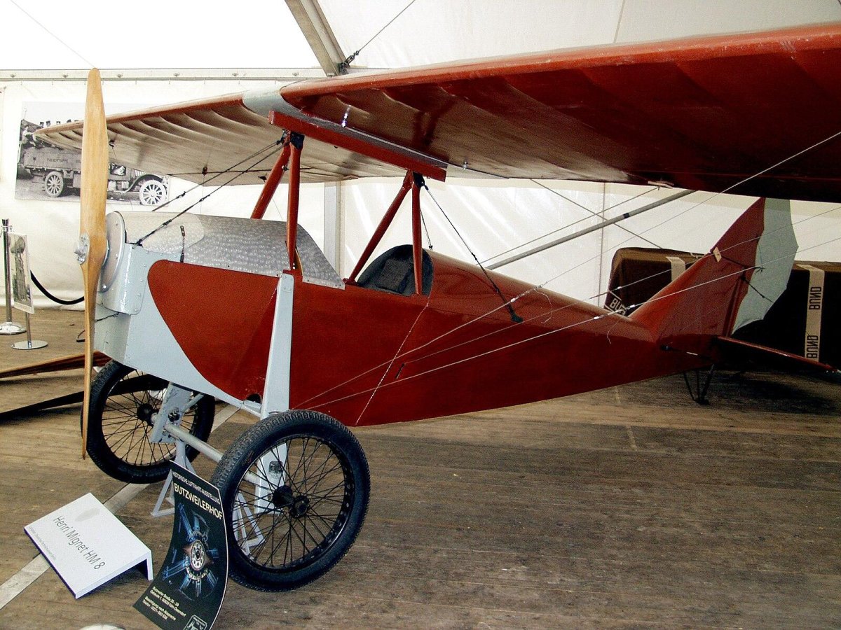 Крыло парасоль