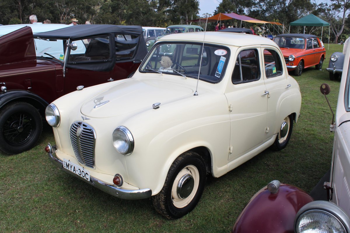 Austin a30 STL