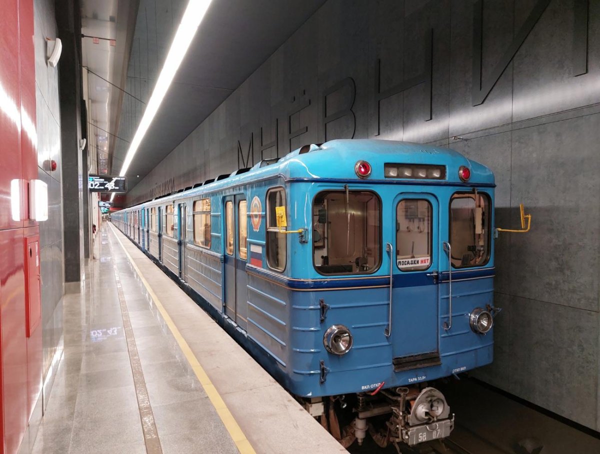 Парадный еж3