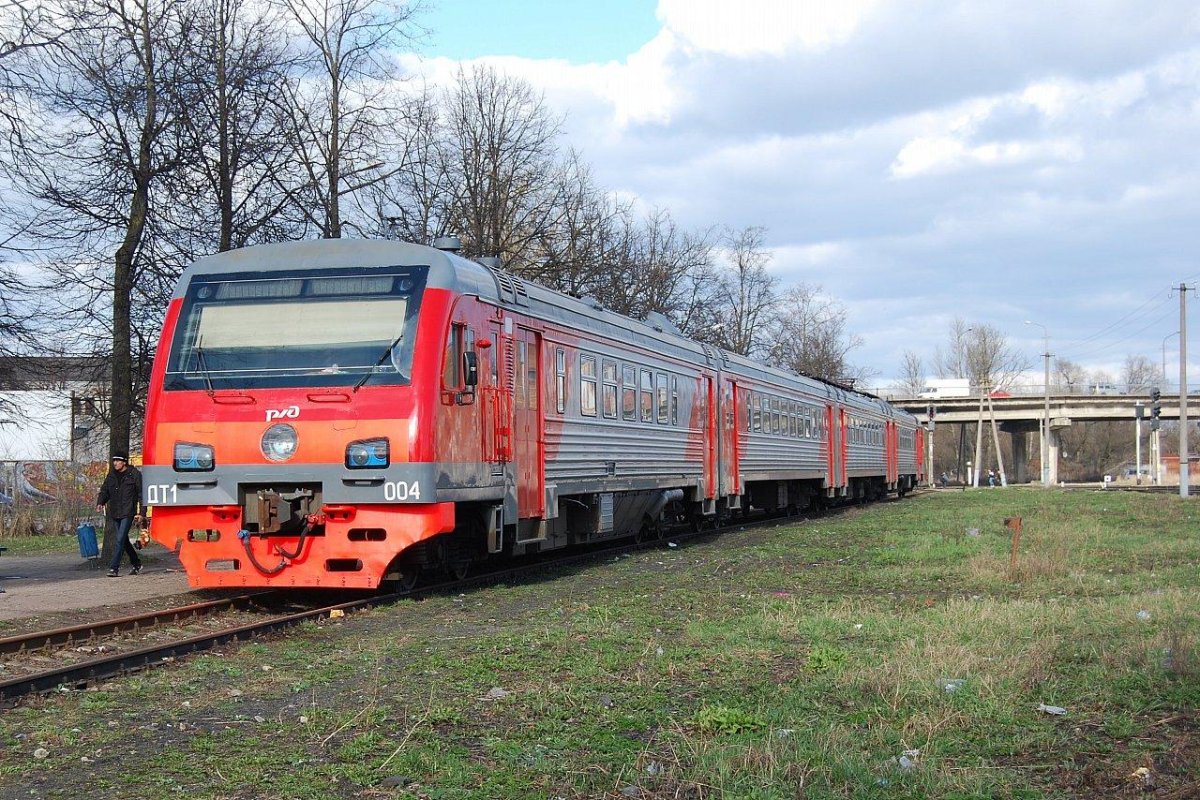 Дизель-электропоезд дт1