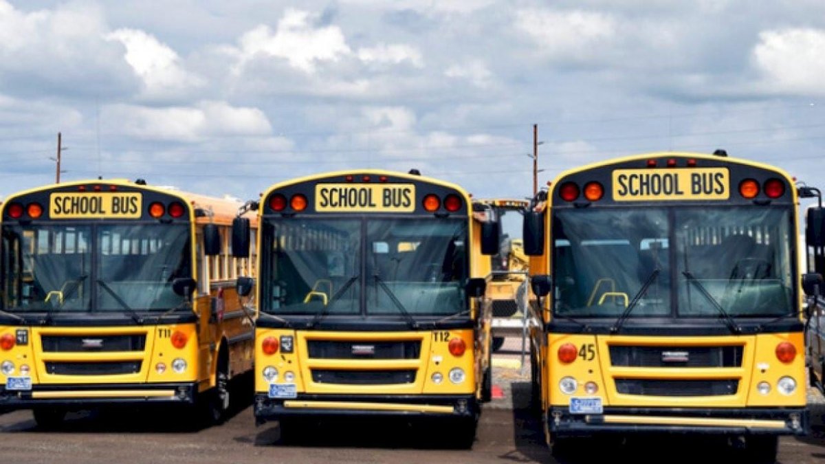 20 Школьный автобус