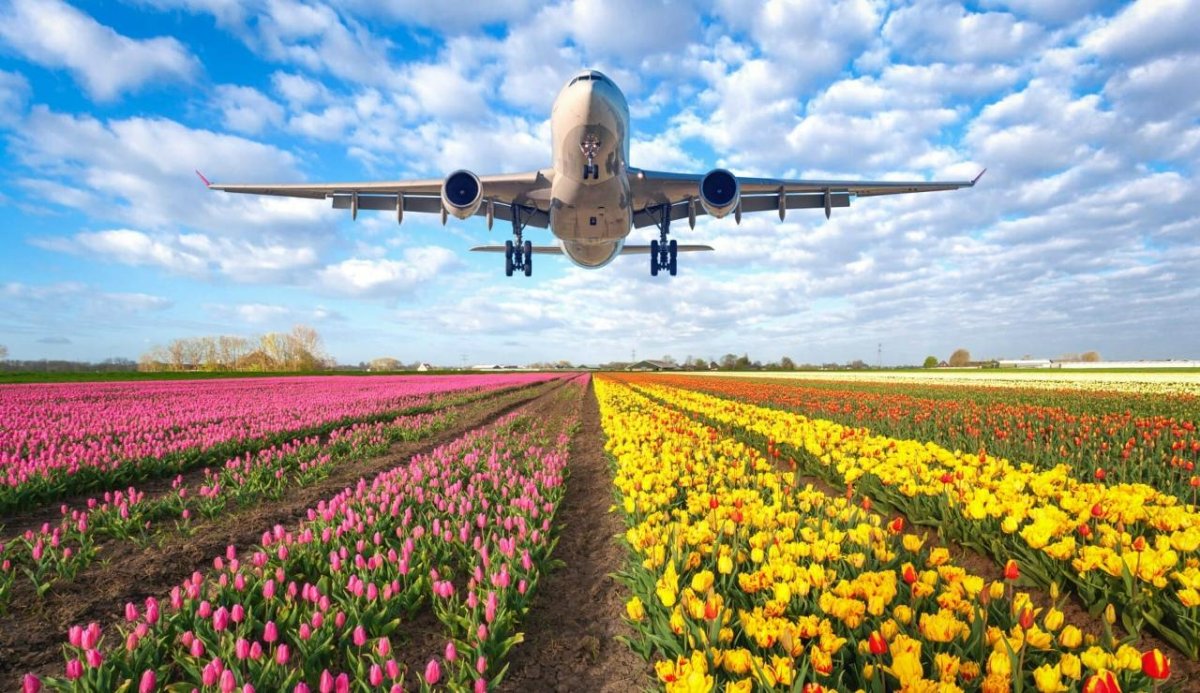 Самолет над полем с цветами