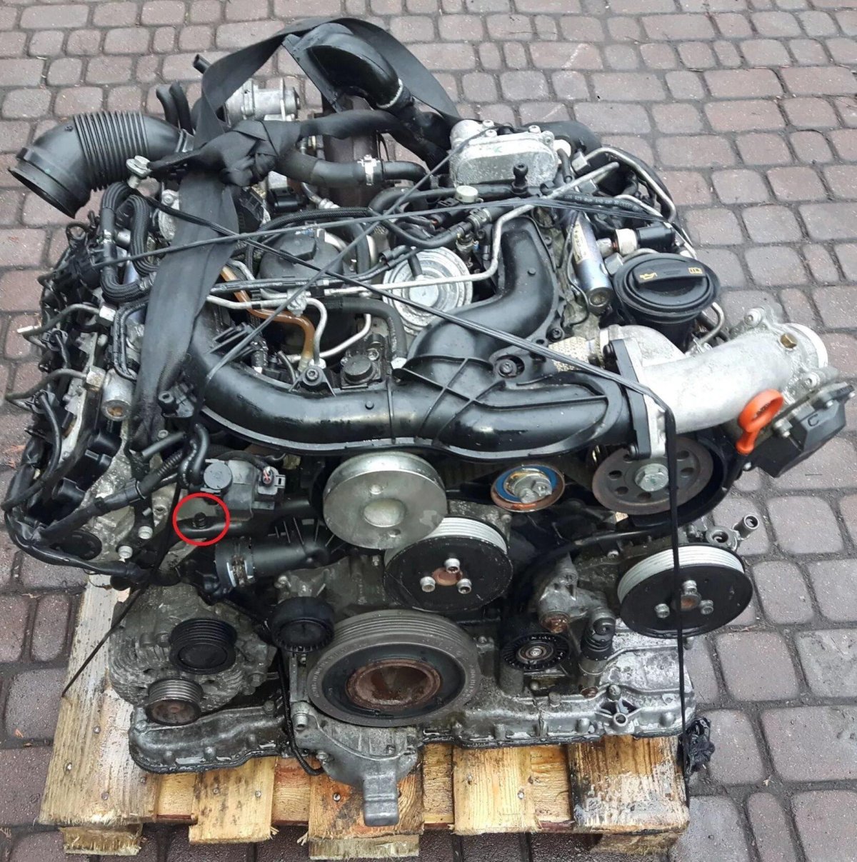 Ауди а6 дизель 3.0 двигатель