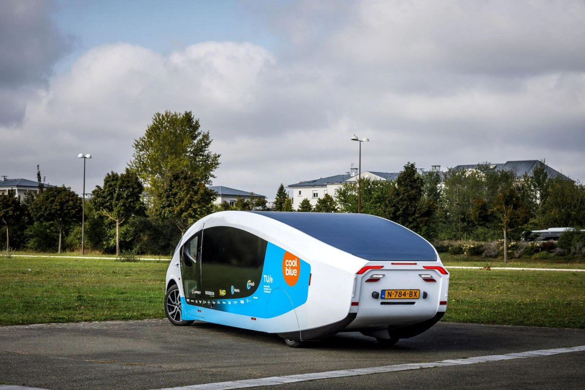 Стелла Вита