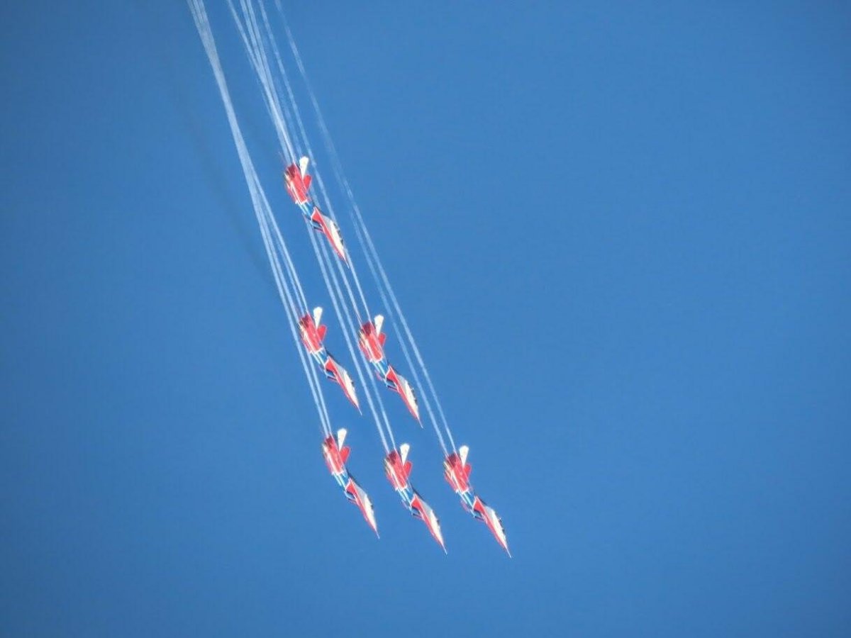 Стрижи группа высшего пилотажа