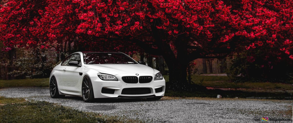 Обои на ноутбук для рабочего стола