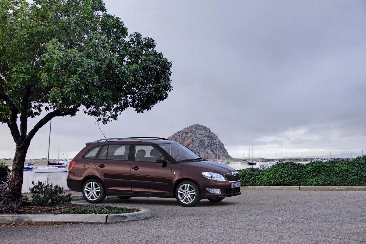 Skoda Fabia Combi 2010