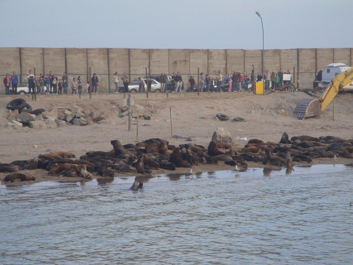 Пуэрто Лобос Мексика