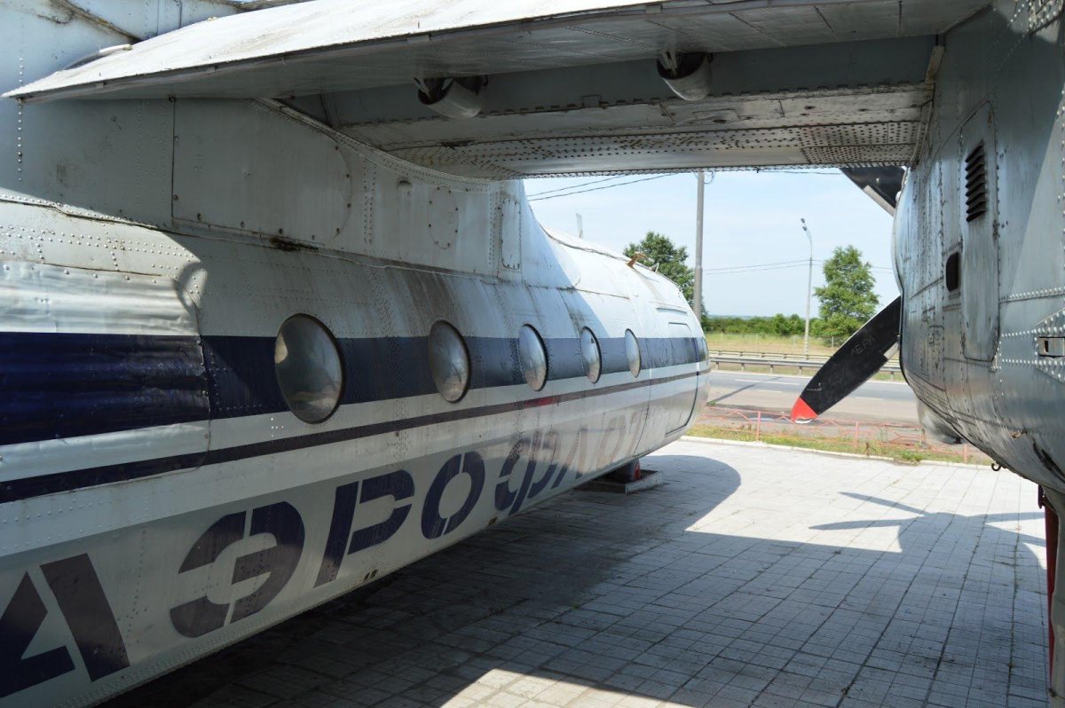 Кафе самолет ан24 Воронеж