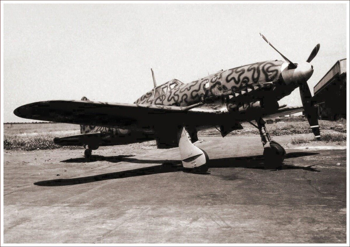 Macchi c.205