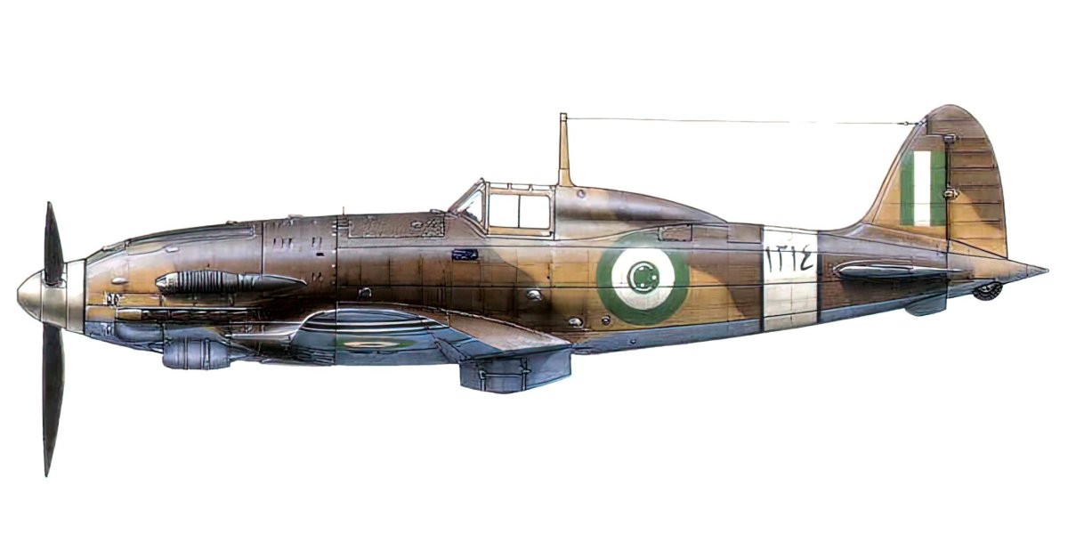 Fiat br.20 Cicogna