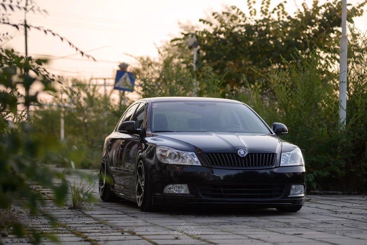 Skoda Octavia a5 стенс