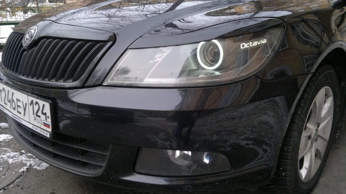 Skoda Octavia a5 черные фары