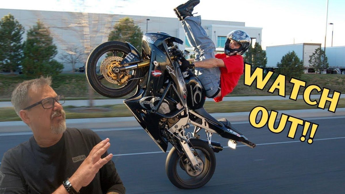 Вилли стант