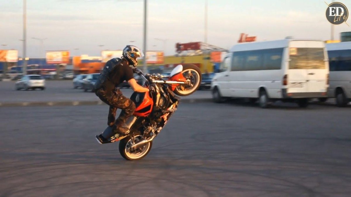 Вилли стант