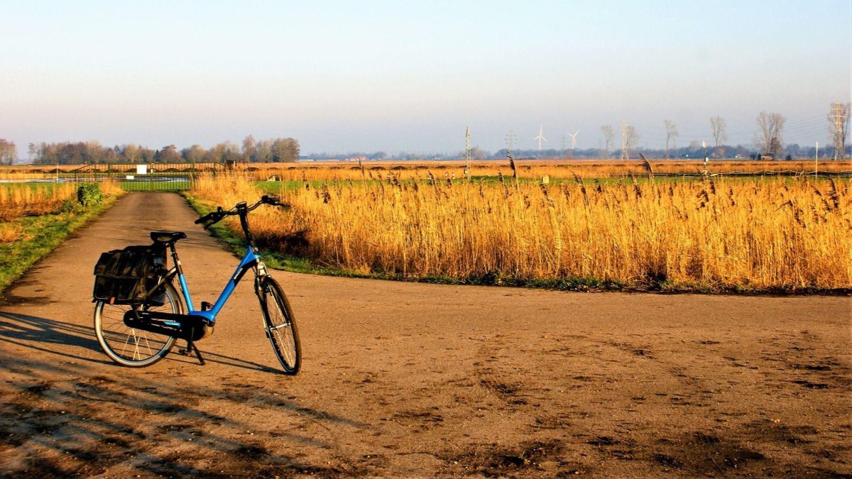 Велосипед розовый на природе