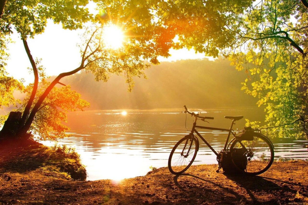 Велосипед на рассвете
