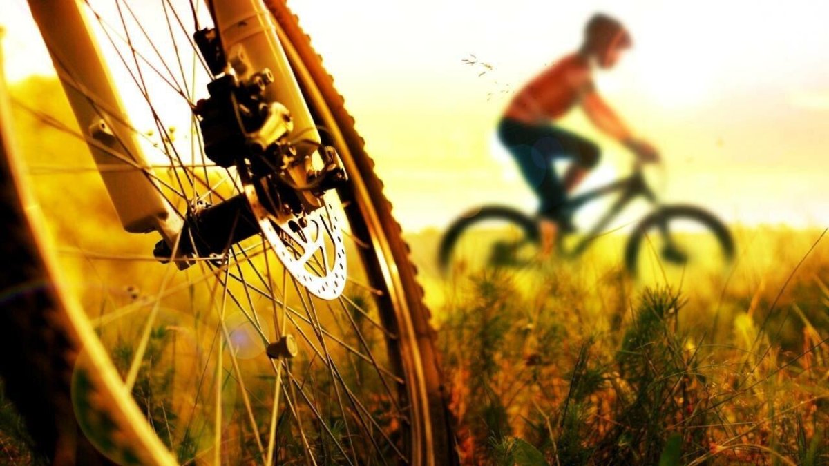 Лето велосипед