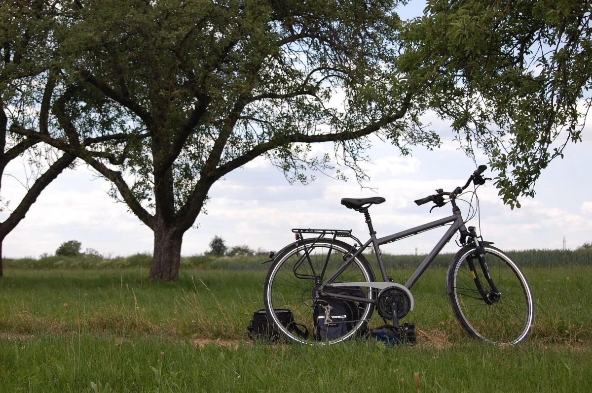 Заповедник велосипедов