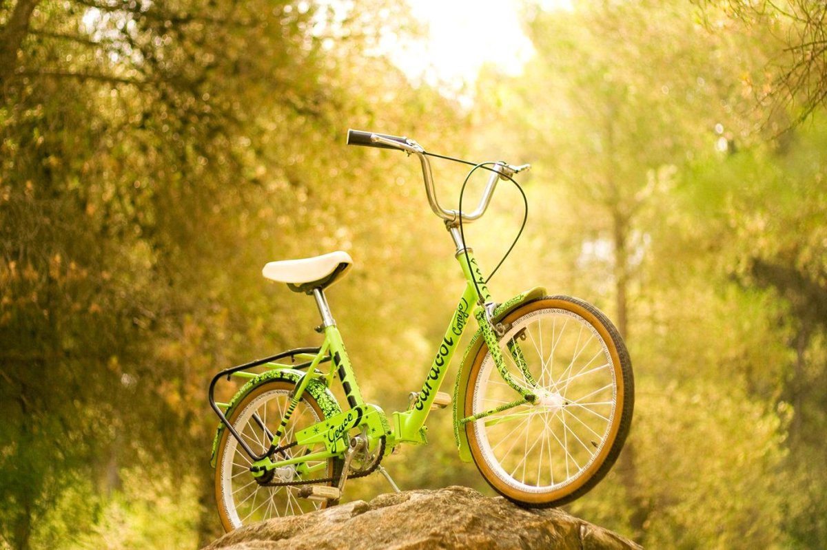 Велик на природе