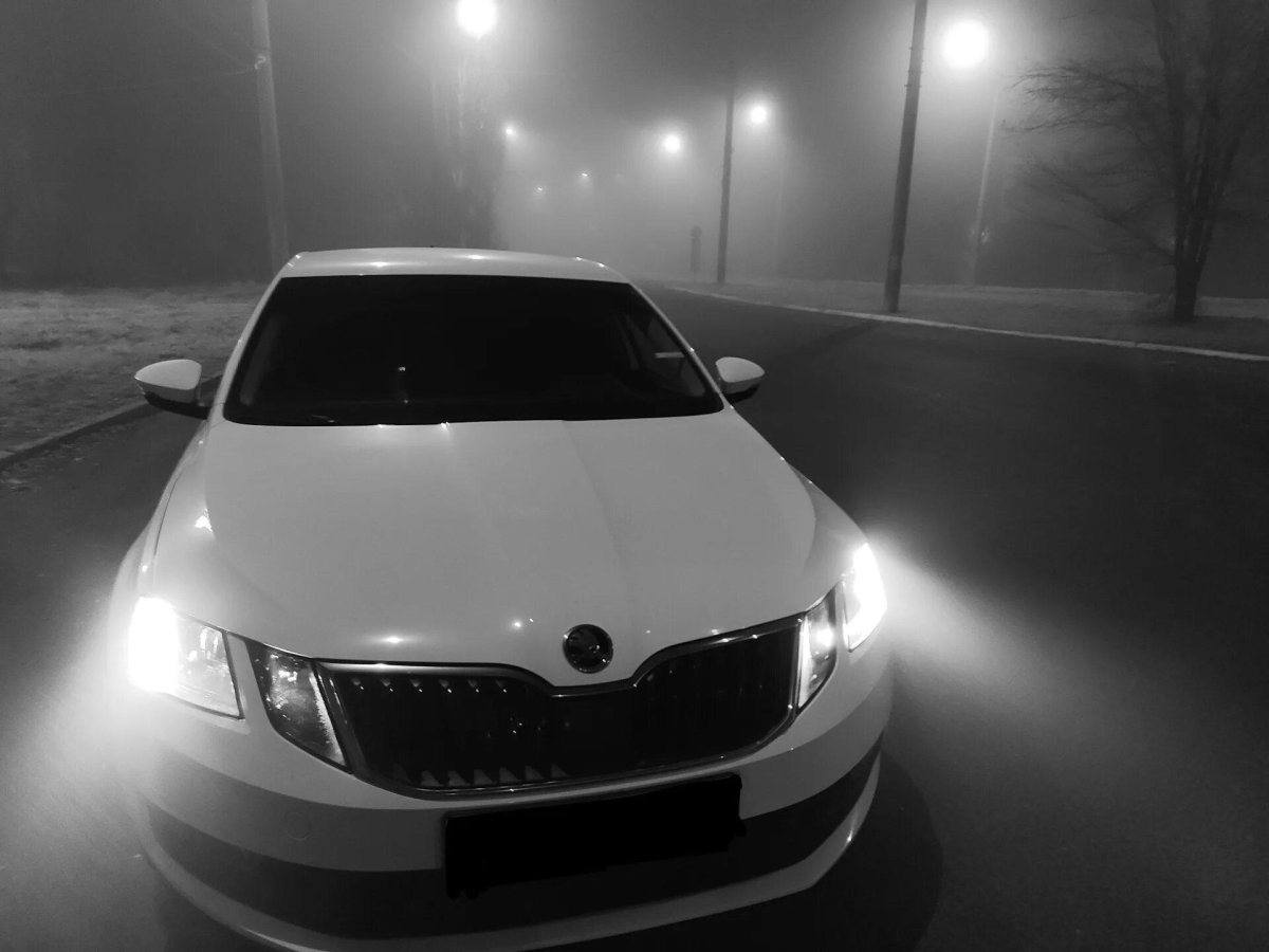 Шкода Октавия а7 фл ночью