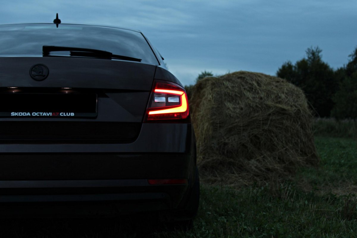 Skoda Rapid антихром