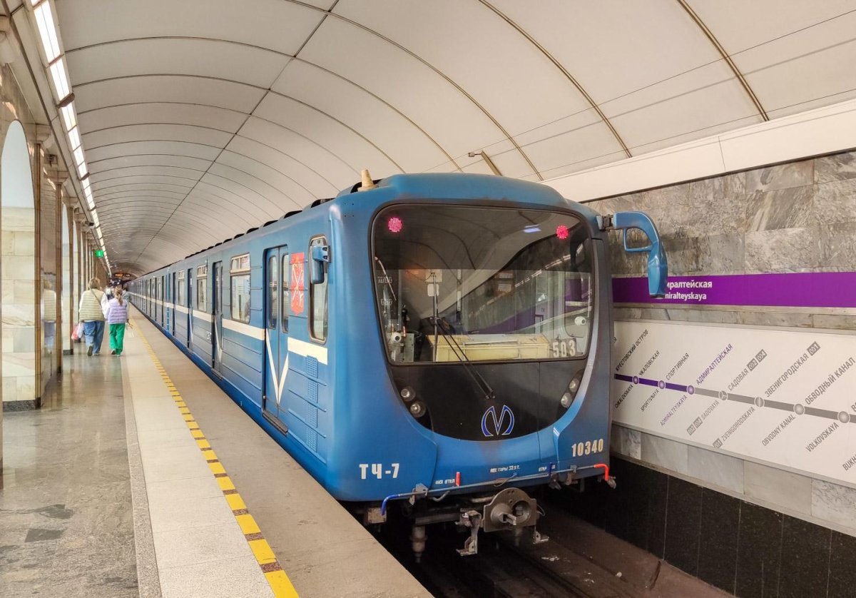 81-540.8 Саблезуб