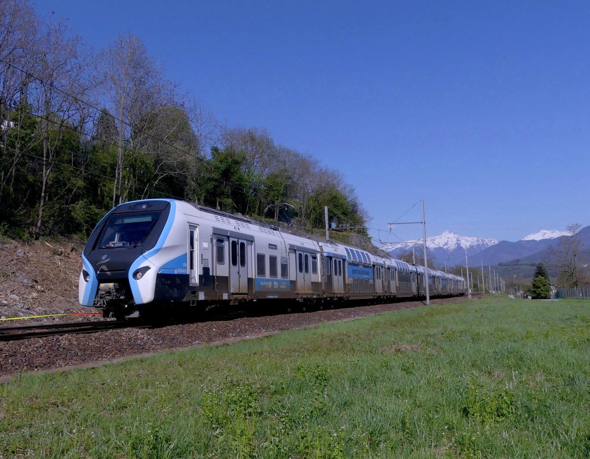 D-like RER Hybrid