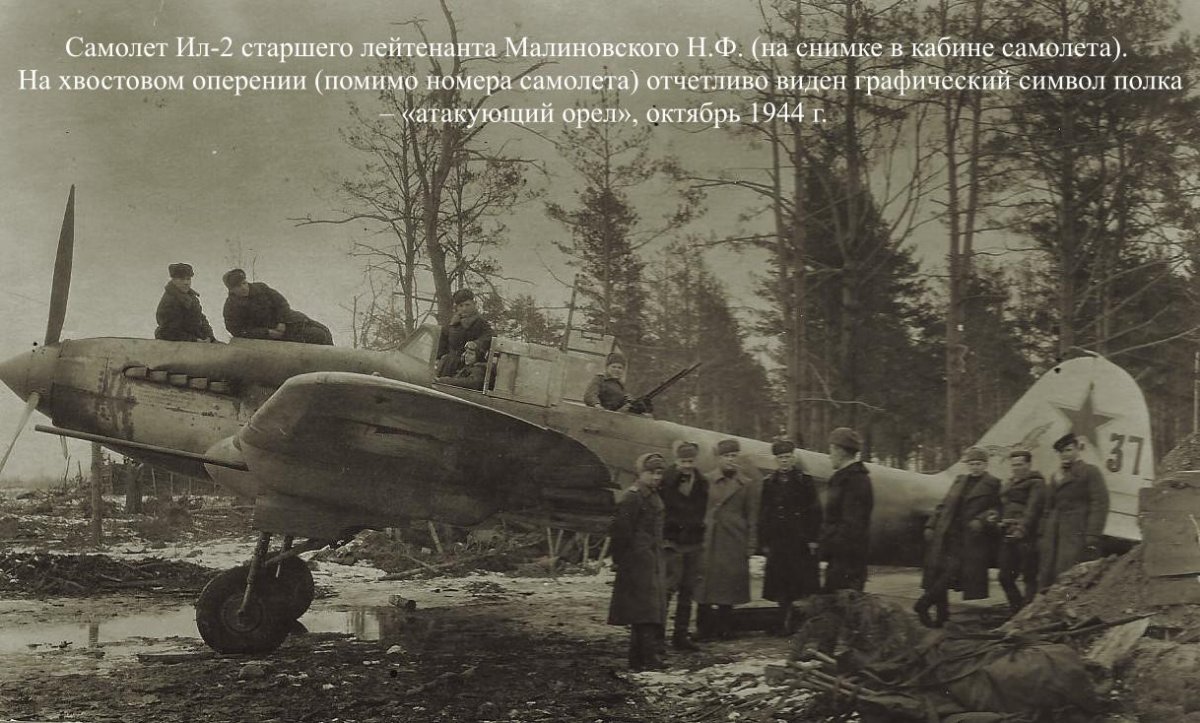 Ил-2 с пушками НС-37