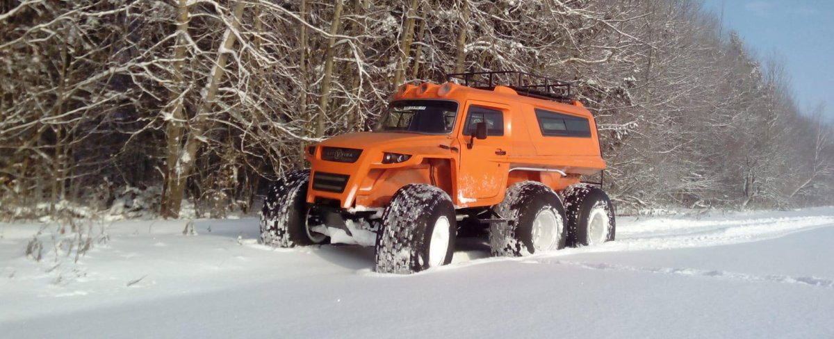 Снегоболотоход Литвина