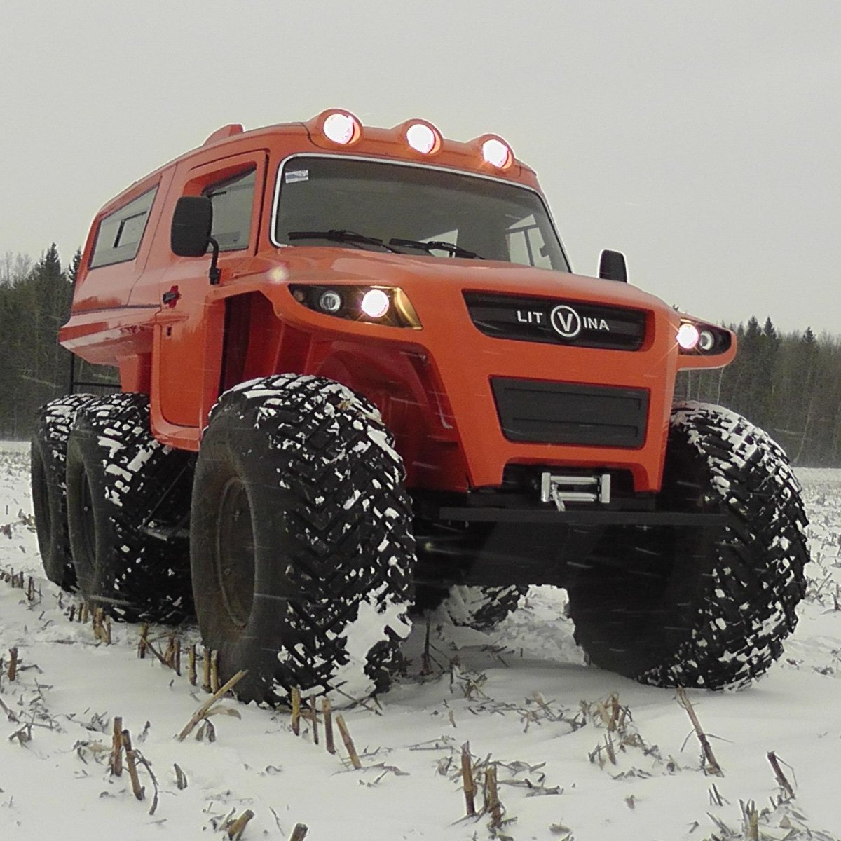 Снегоболотоход Литвина 3903 (Литвина)