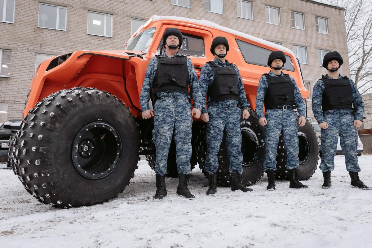 Снегоболотоход Литвина 3903 (Литвина)