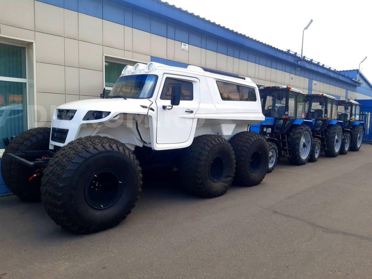 Снегоболотоход Литвина 3903