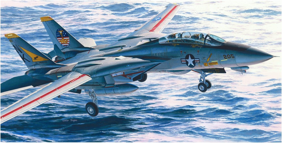 Самолет f-14a Tomcat