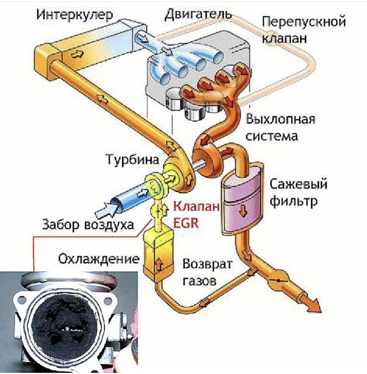 Система рециркуляции выхлопных газов дизельного двигателя