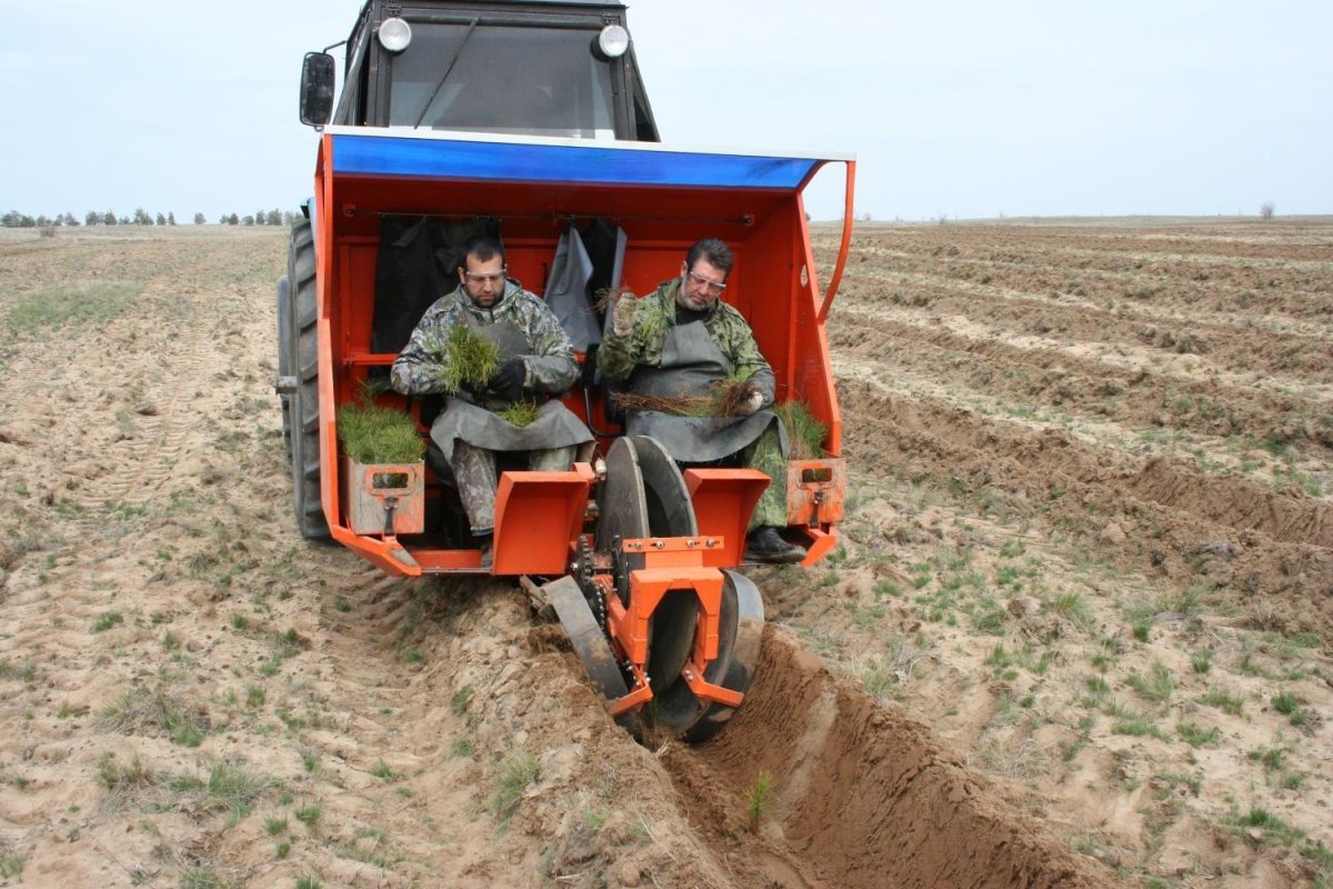 Лесопосадочная машина ЛМД-81