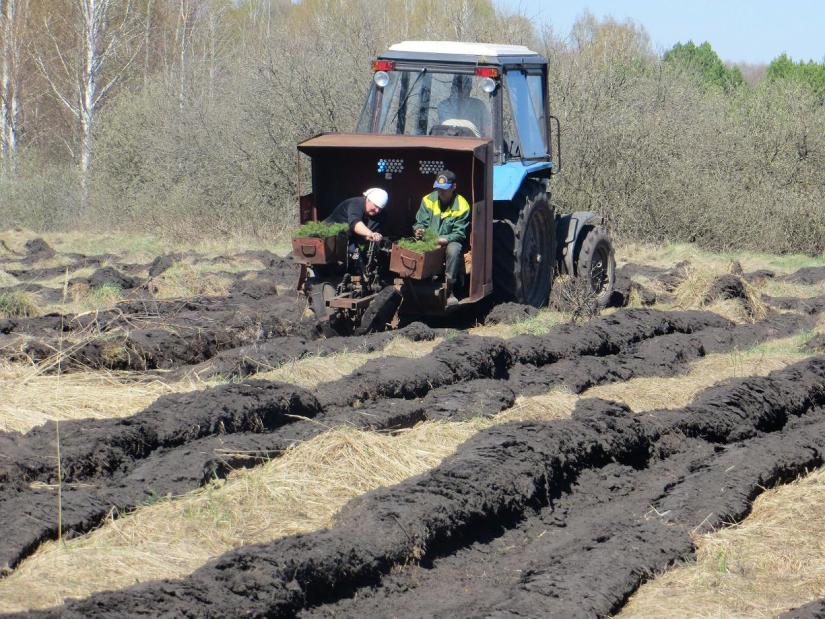 МЛУ-1 Лесопосадочная машина