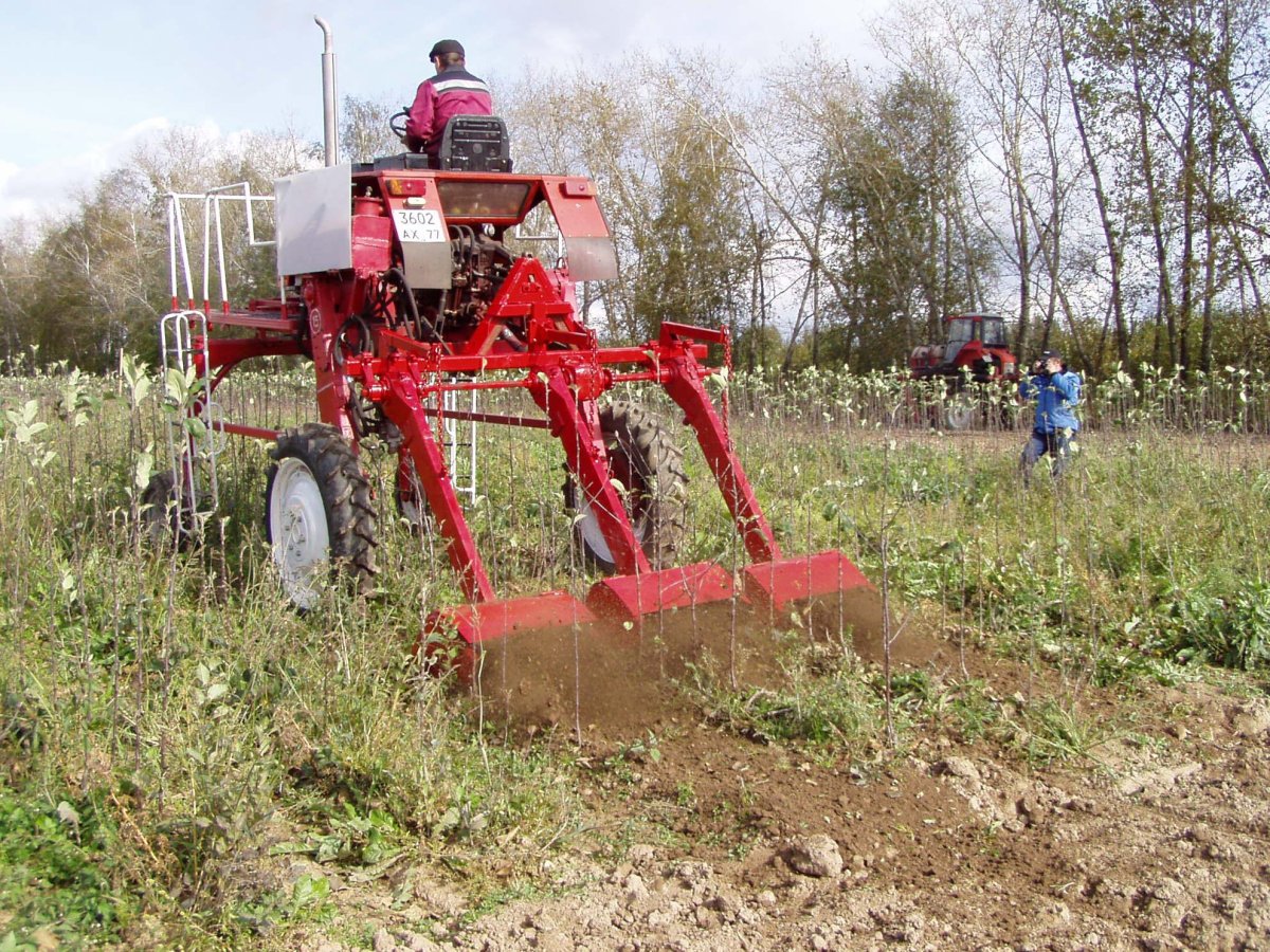 Трактор т-25 к высококлиренсный
